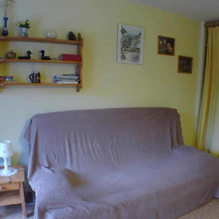 Studio Cosy Au Centre De Samoens Avec Parking Privatif - Fr-1-629-118 ภายนอก รูปภาพ